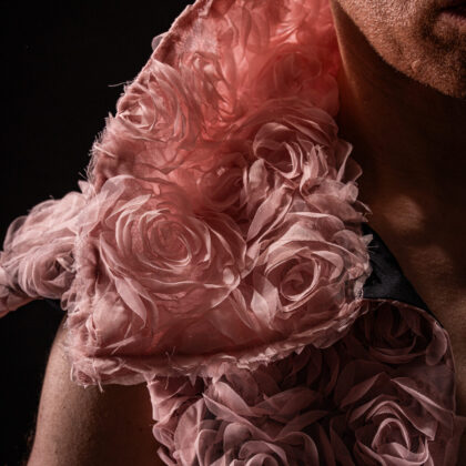 {field title}{/field}