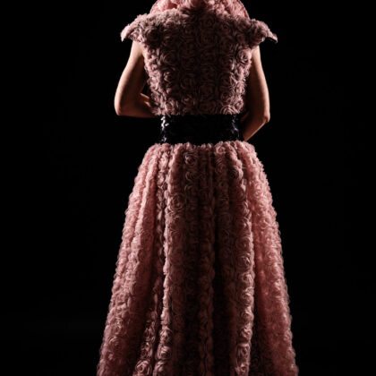 {field title}{/field}